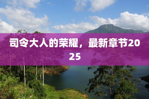 司令大人的荣耀，最新章节2025