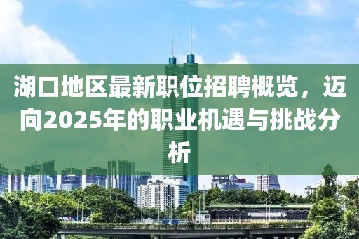 湖口地区最新职位招聘概览，迈向2025年的职业机遇与挑战分析