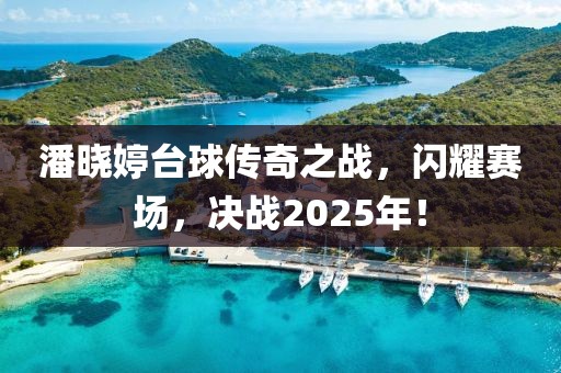 潘晓婷台球传奇之战，闪耀赛场，决战2025年！