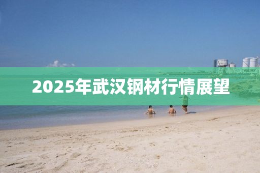 2025年武汉钢材行情展望