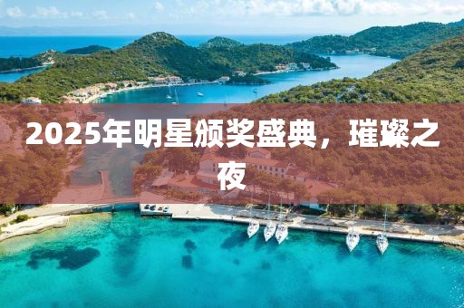 2025年明星颁奖盛典，璀璨之夜