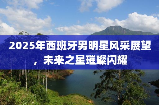 2025年西班牙男明星风采展望，未来之星璀璨闪耀