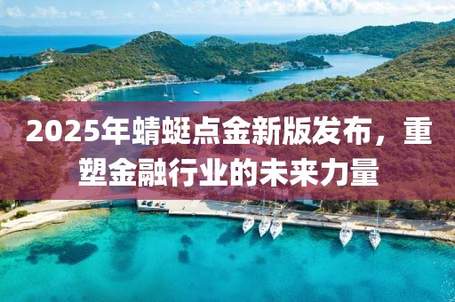 2025年蜻蜓点金新版发布，重塑金融行业的未来力量