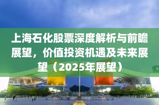 上海石化股票深度解析与前瞻展望，价值投资机遇及未来展望（2025年展望）
