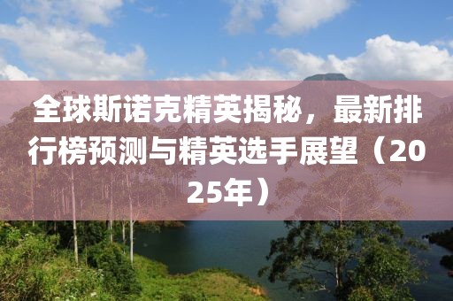 智能方案 第31页