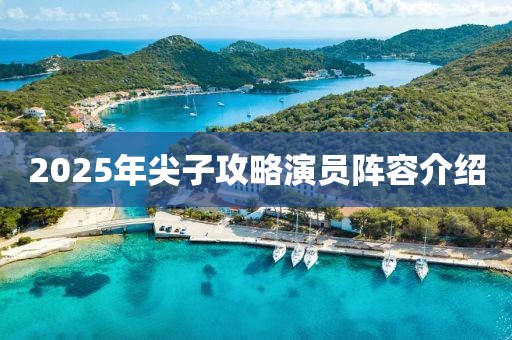 2025年尖子攻略演员阵容介绍