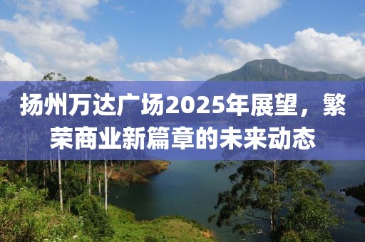扬州万达广场2025年展望，繁荣商业新篇章的未来动态