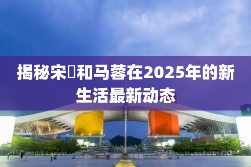 揭秘宋喆和马蓉在2025年的新生活最新动态