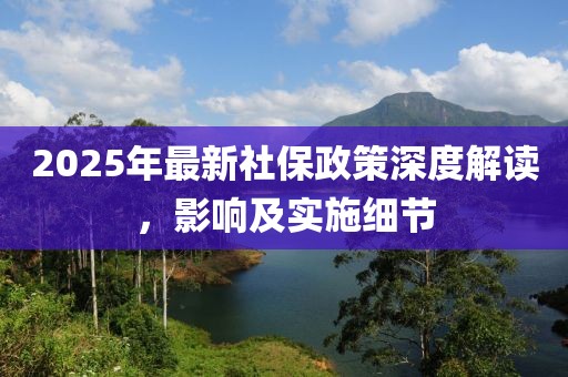 2025年最新社保政策深度解读，影响及实施细节