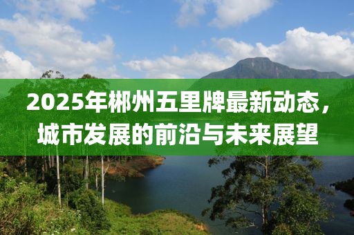 2025年郴州五里牌最新动态，城市发展的前沿与未来展望