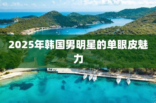 2025年韩国男明星的单眼皮魅力