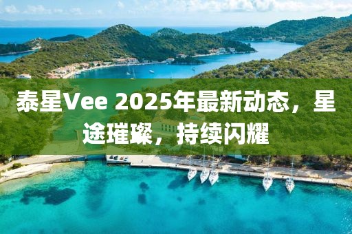泰星Vee 2025年最新动态，星途璀璨，持续闪耀
