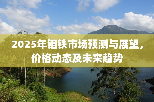 2025年钼铁市场预测与展望，价格动态及未来趋势