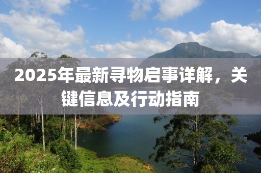 2025年最新寻物启事详解，关键信息及行动指南