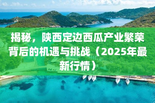 揭秘，陕西定边西瓜产业繁荣背后的机遇与挑战（2025年最新行情）