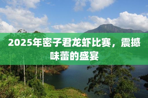 2025年密子君龙虾比赛，震撼味蕾的盛宴