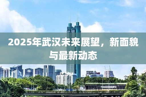 2025年武汉未来展望，新面貌与最新动态