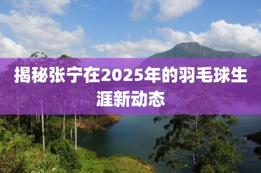 揭秘张宁在2025年的羽毛球生涯新动态