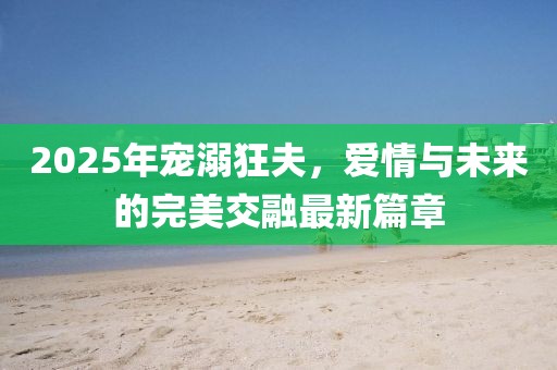 2025年宠溺狂夫，爱情与未来的完美交融最新篇章