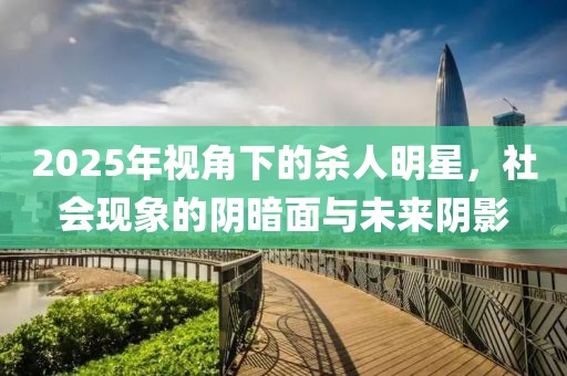 2025年视角下的杀人明星，社会现象的阴暗面与未来阴影