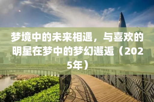 梦境中的未来相遇，与喜欢的明星在梦中的梦幻邂逅（2025年）