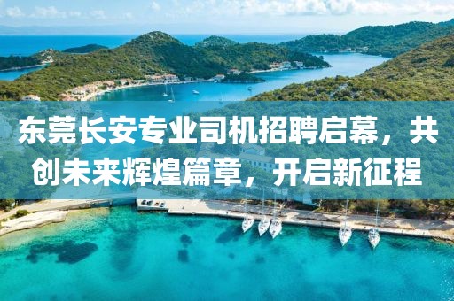 东莞长安专业司机招聘启幕，共创未来辉煌篇章，开启新征程