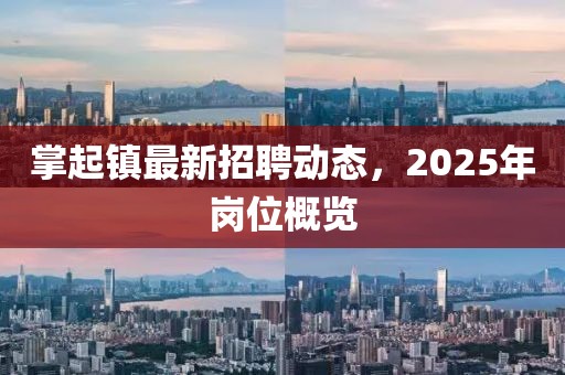 掌起镇最新招聘动态，2025年岗位概览