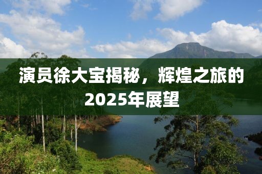 演员徐大宝揭秘，辉煌之旅的2025年展望