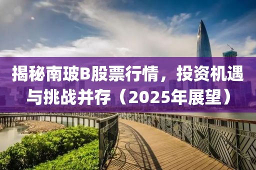 揭秘南玻B股票行情，投资机遇与挑战并存（2025年展望）
