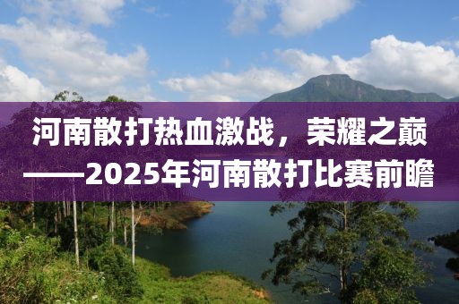 河南散打热血激战，荣耀之巅——2025年河南散打比赛前瞻