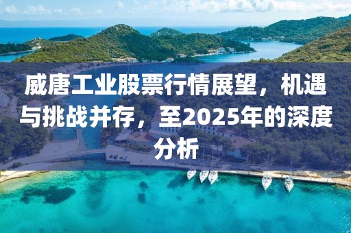 威唐工业股票行情展望，机遇与挑战并存，至2025年的深度分析