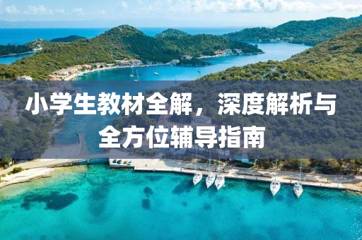 小学生教材全解