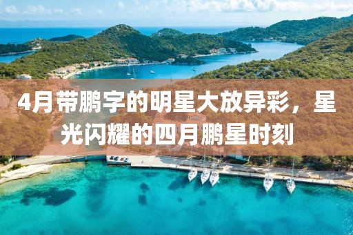 4月带鹏字的明星大放异彩，星光闪耀的四月鹏星时刻