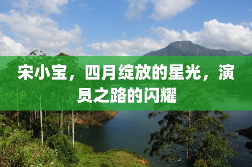 宋小宝，四月绽放的星光，演员之路的闪耀