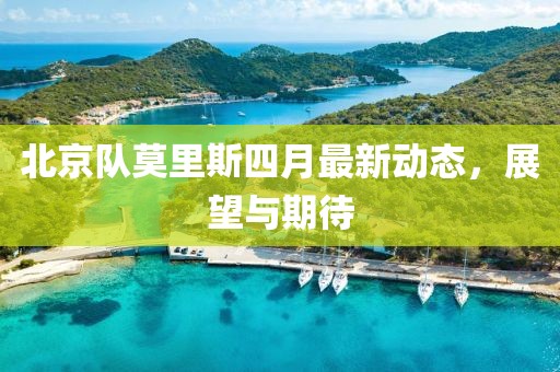 北京队莫里斯四月最新动态，展望与期待
