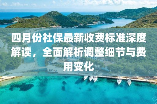 四月份社保最新收费标准深度解读，全面解析调整细节与费用变化