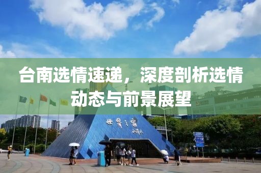 台南选情速递，深度剖析选情动态与前景展望