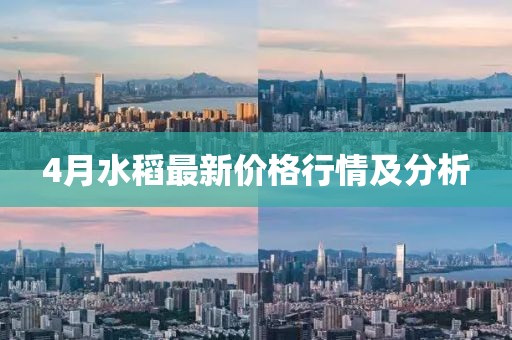 4月水稻最新价格行情及分析