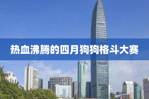 热血沸腾的四月狗狗格斗大赛