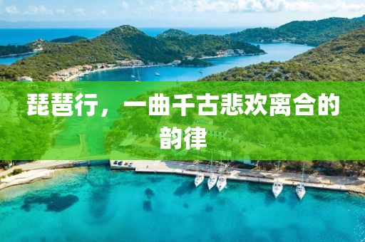 琵琶行，一曲千古悲欢离合的韵律