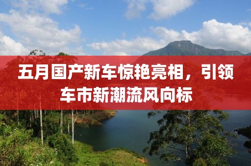 五月国产新车惊艳亮相，引领车市新潮流风向标
