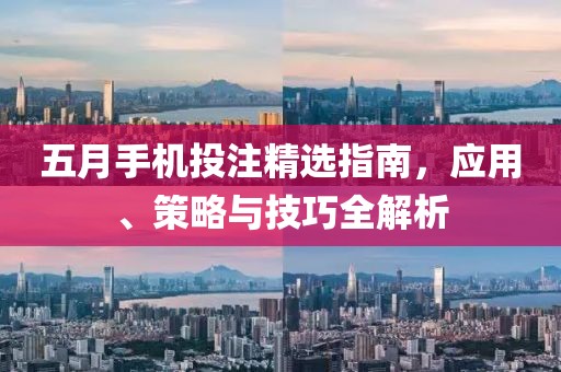 五月手机投注精选指南，应用、策略与技巧全解析