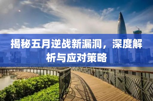 揭秘五月逆战新漏洞，深度解析与应对策略