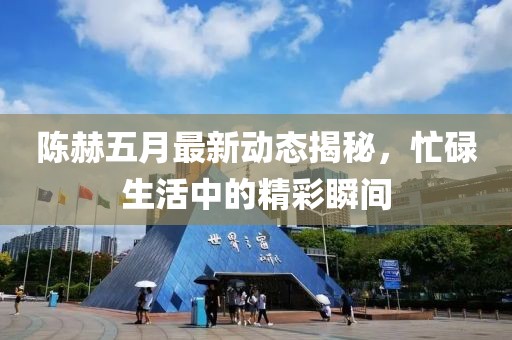 陈赫五月最新动态揭秘，忙碌生活中的精彩瞬间