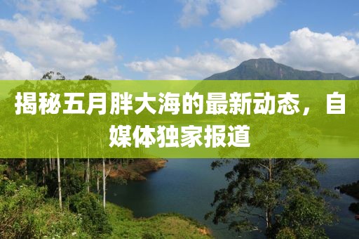 揭秘五月胖大海的最新动态，自媒体独家报道