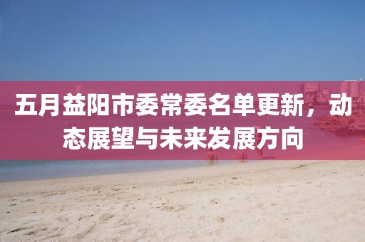 五月益阳市委常委名单更新，动态展望与未来发展方向