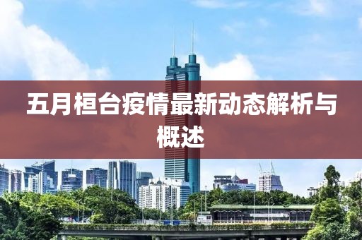 五月桓台疫情最新动态解析与概述