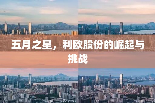 五月之星，利欧股份的崛起与挑战