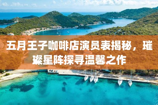 五月王子咖啡店演员表揭秘，璀璨星阵探寻温馨之作