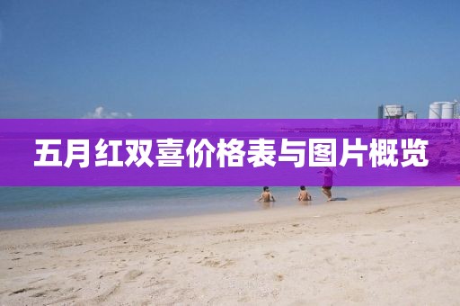五月红双喜价格表与图片概览